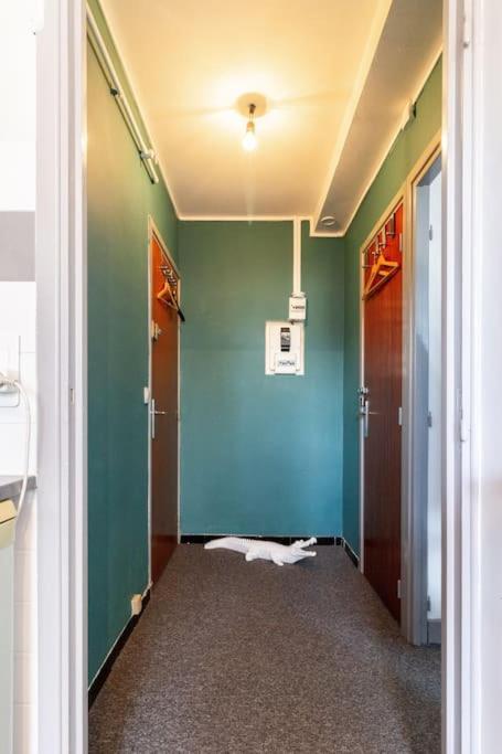 Double Appartement, Saint Michel, Parking, Wifi トゥールーズ エクステリア 写真